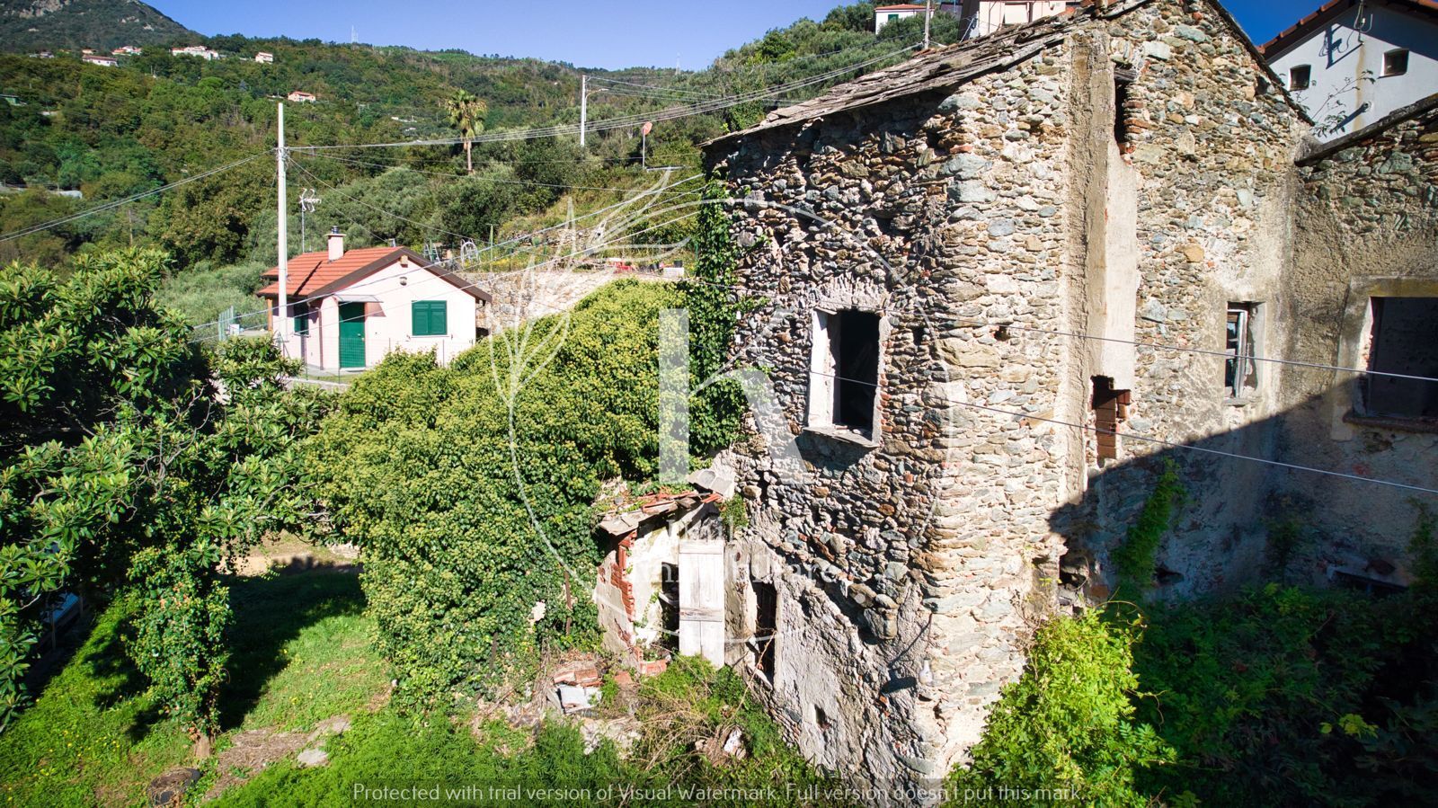 Foto annuncio 5