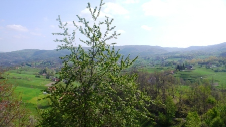 Immagine 18 di Casa indipendente in vendita  a Sassello