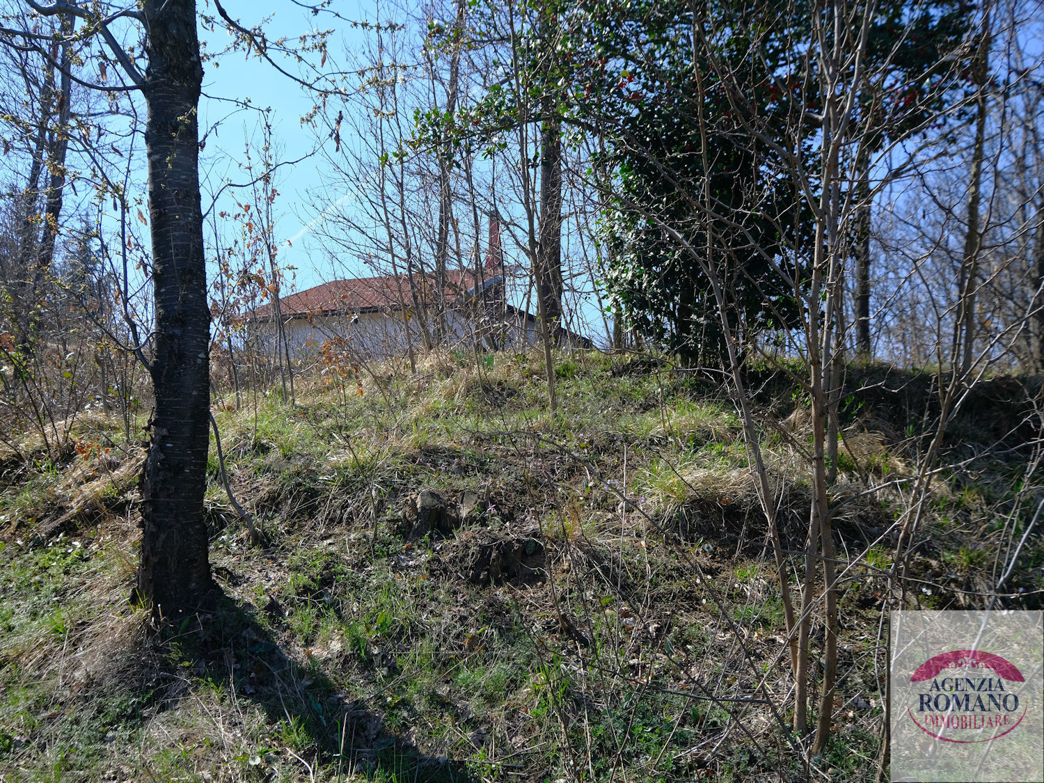 Immagine 17 di Rustico / casale in vendita  a Urbe