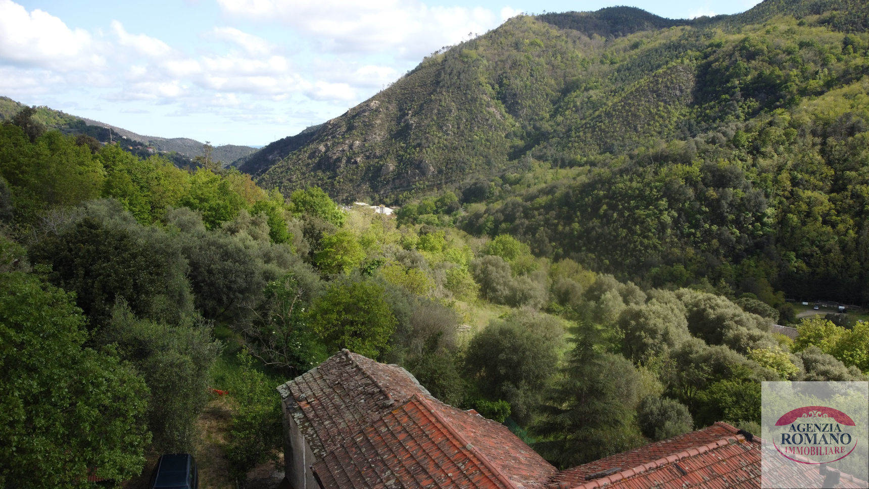 Foto annuncio 32