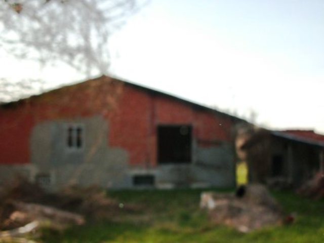 Foto annuncio 19