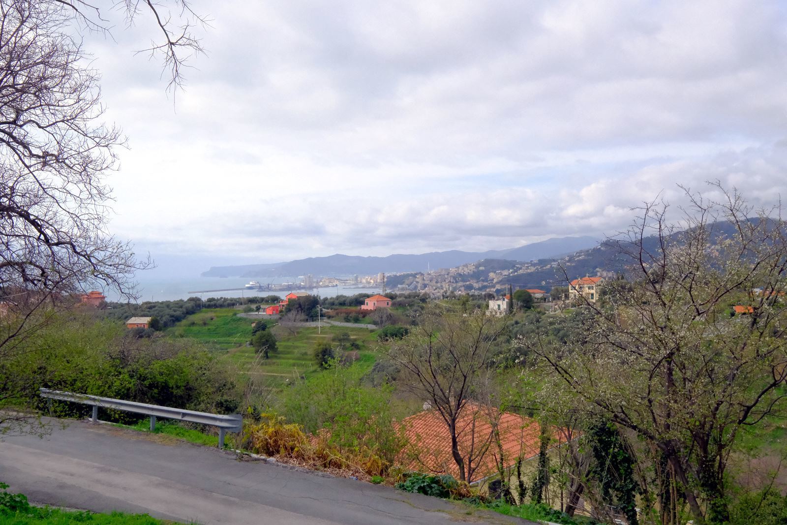 Foto annuncio 38