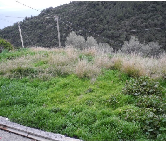 Foto annuncio 6