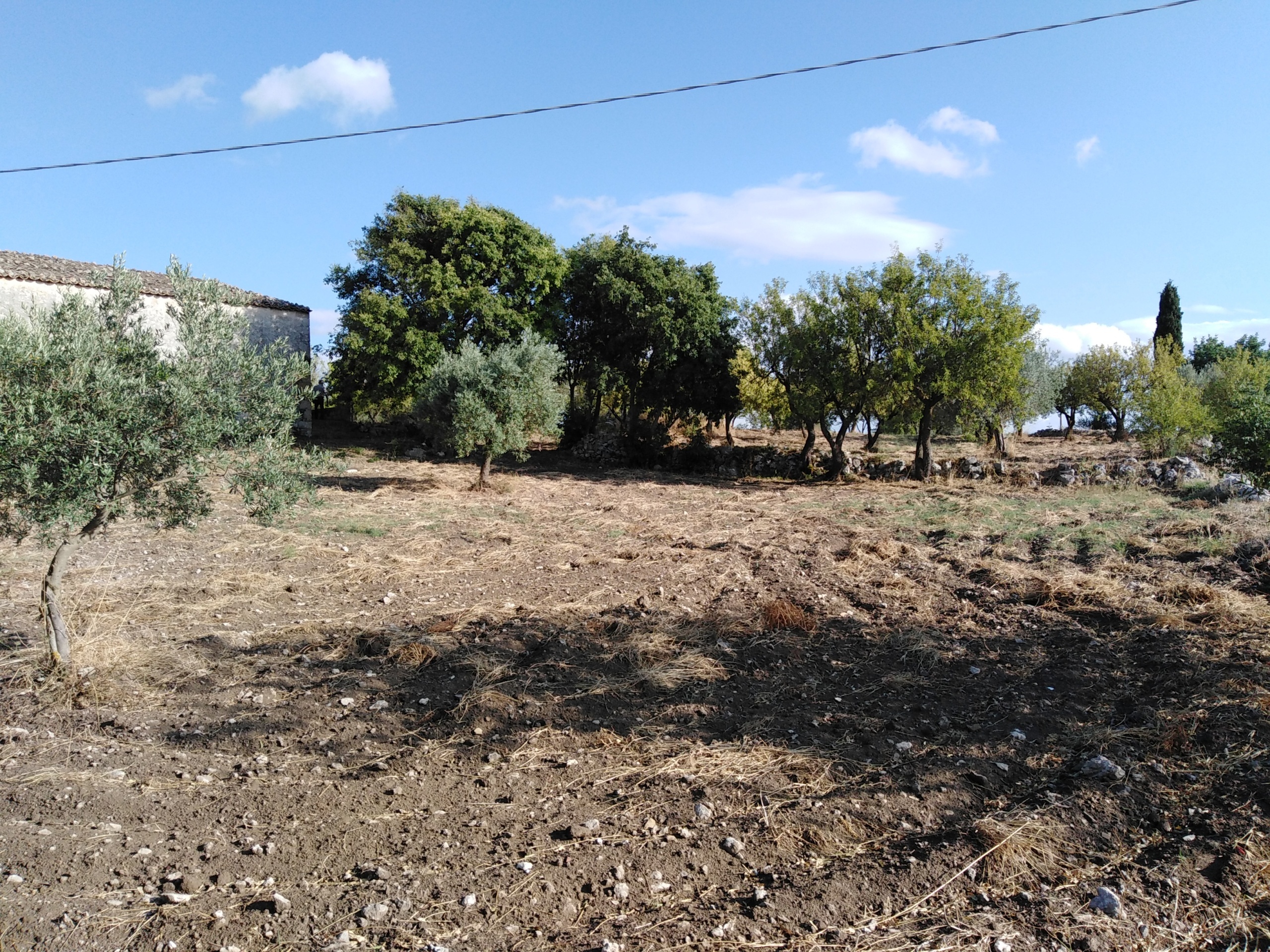 Immagine 17 di Villa in vendita  a Chiaramonte Gulfi