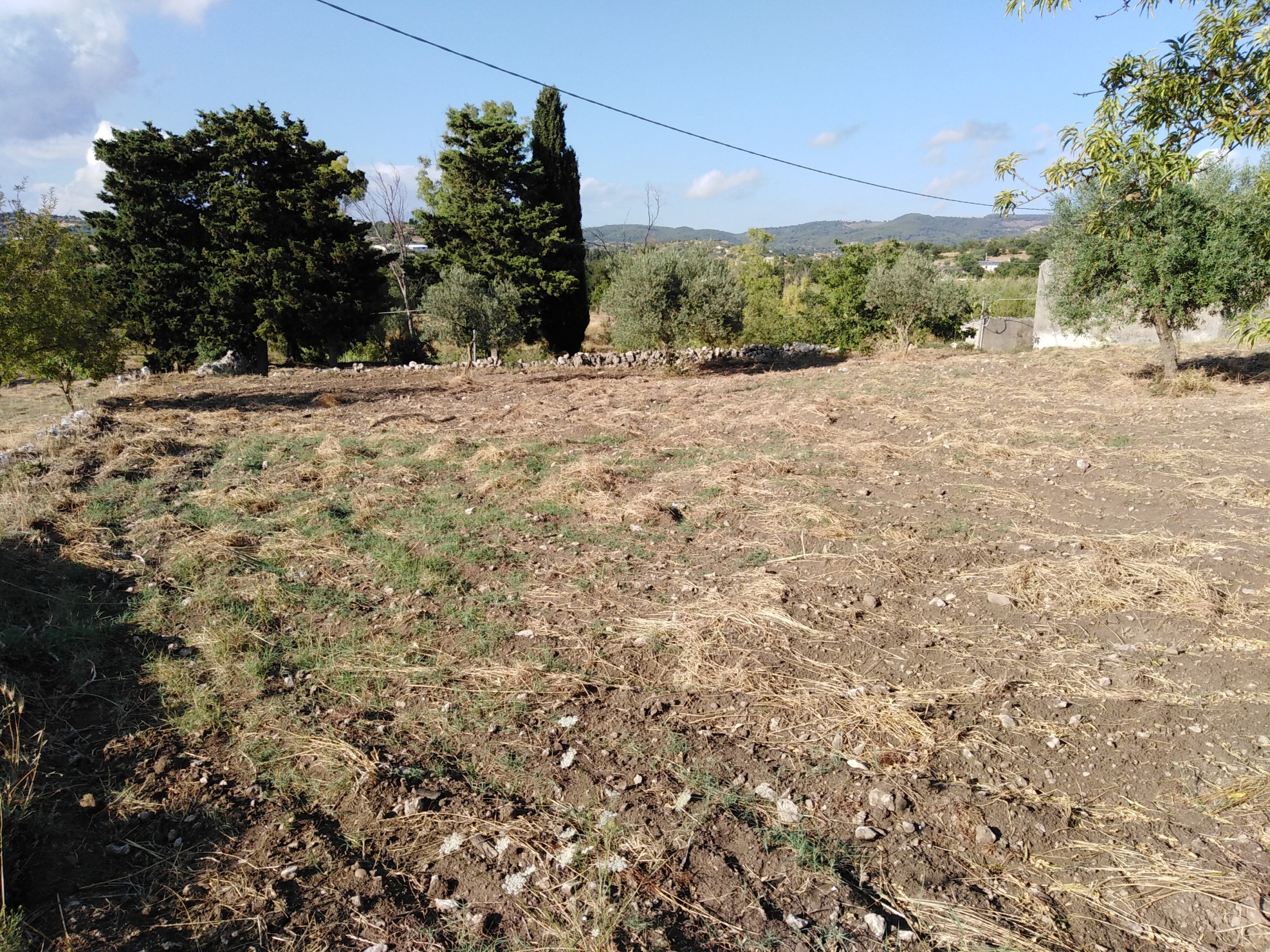 Immagine 16 di Villa in vendita  a Chiaramonte Gulfi