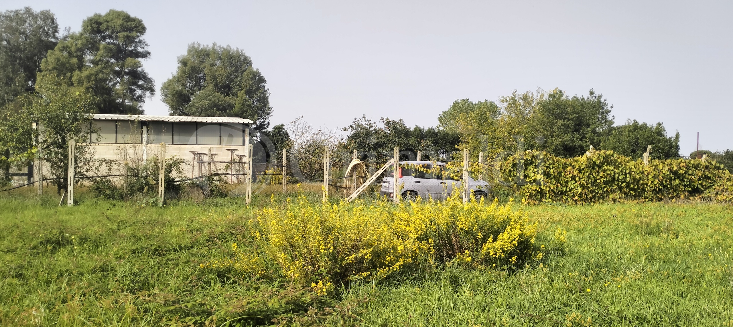 Immagine 8 di Terreno agricolo in vendita  in Via Lago di Sirino a Nettuno