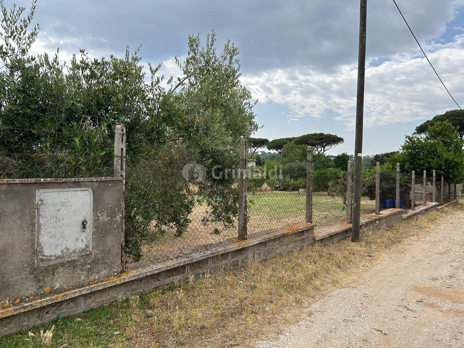 Immagine 1 di Terreno edificabile in vendita  in Via Sutri 4 a Nettuno