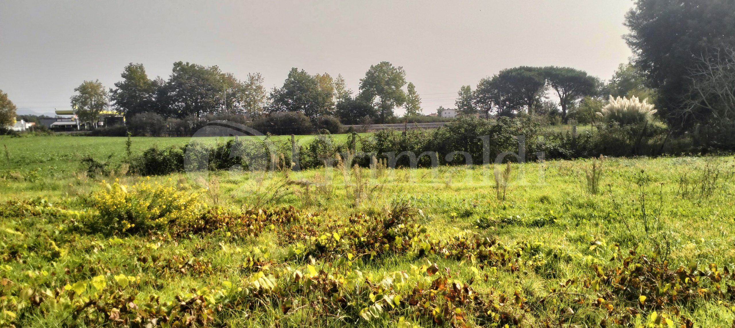 Immagine 10 di Terreno agricolo in vendita  in Via Lago di Sirino a Nettuno