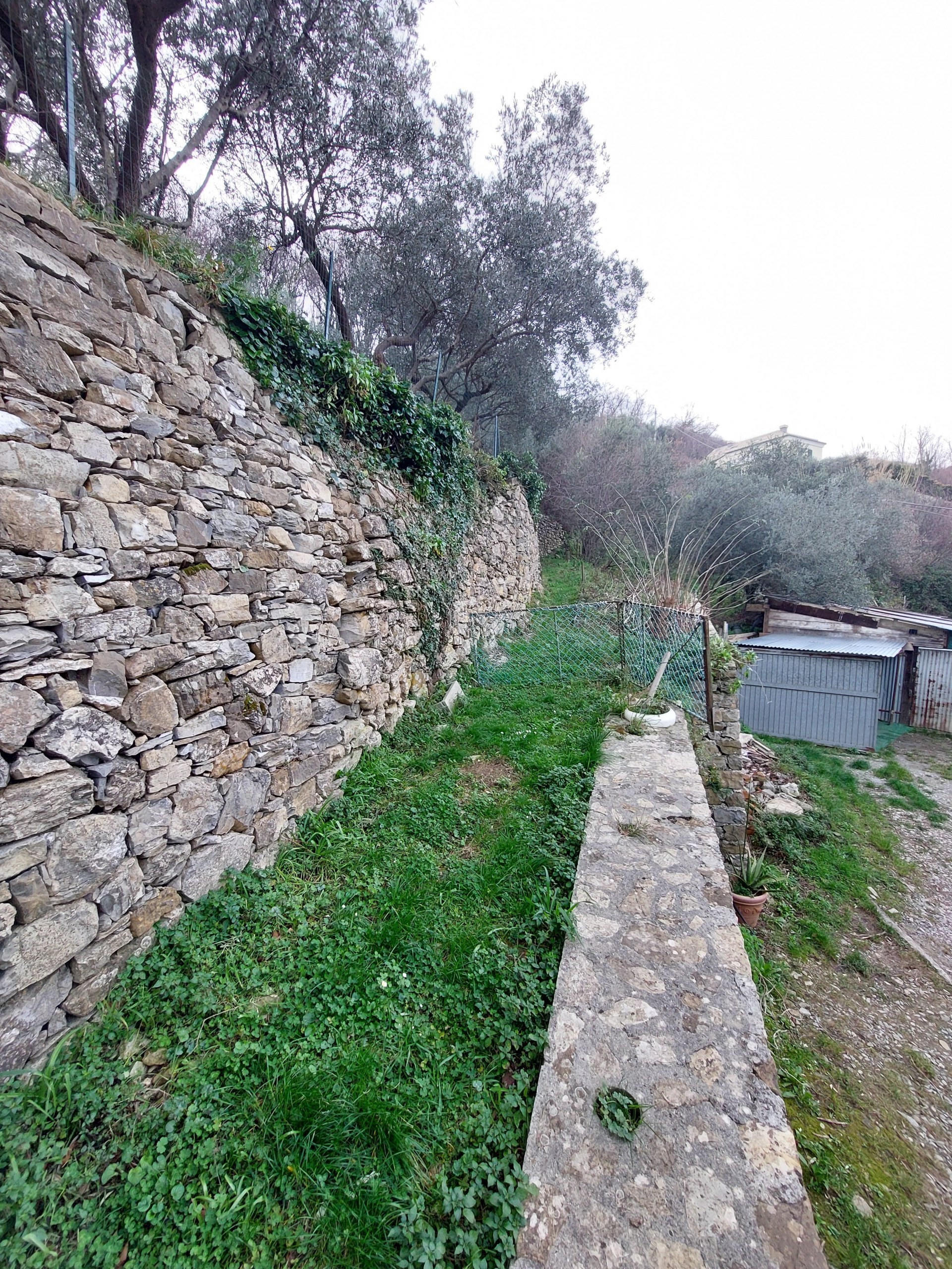 Foto annuncio 29