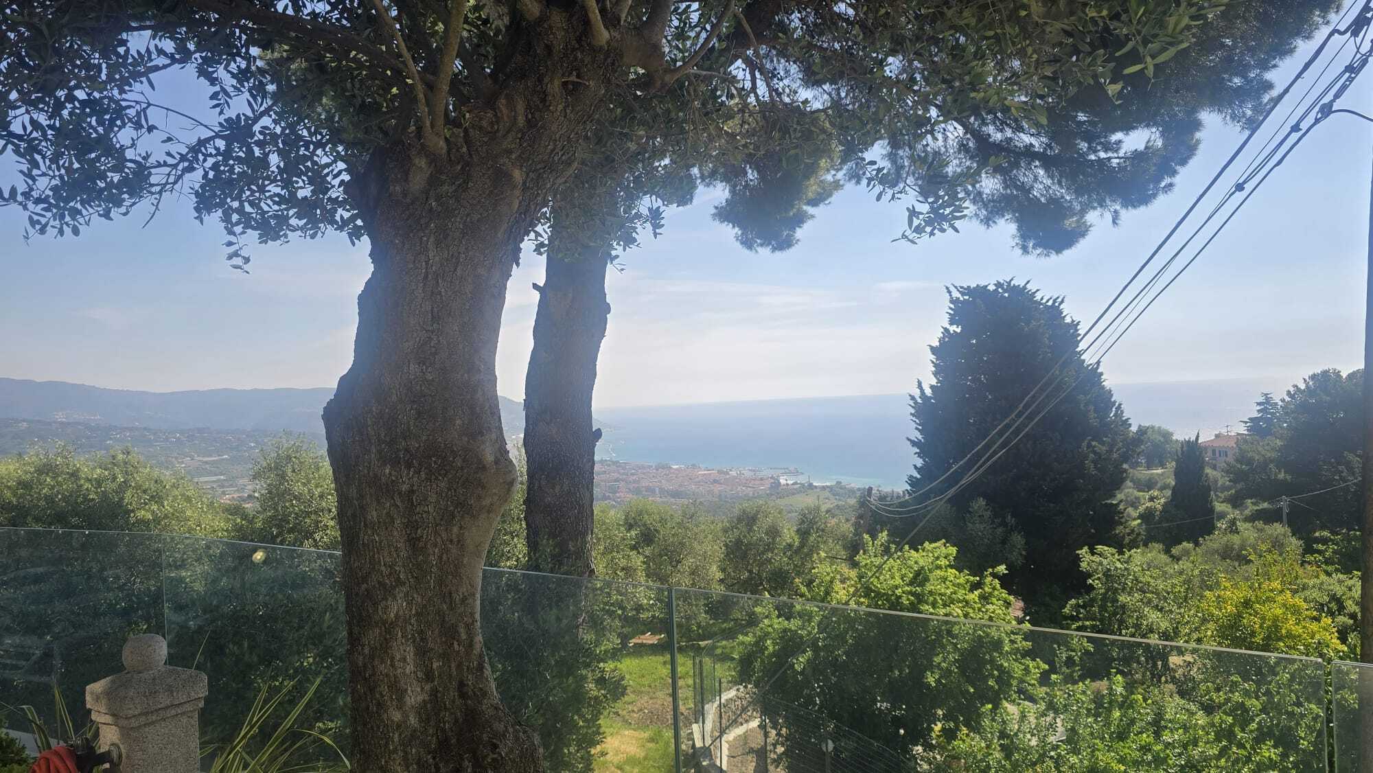 Foto annuncio 37