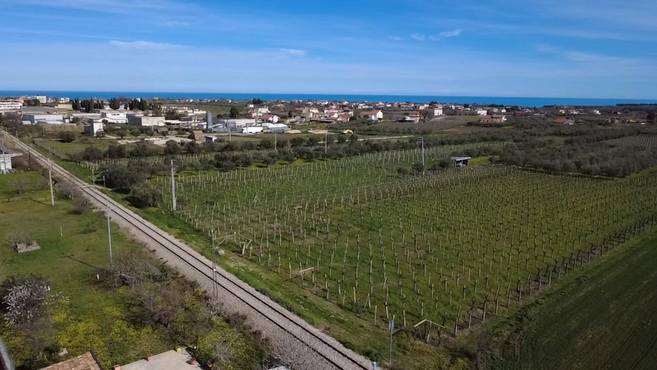 Foto annuncio 5