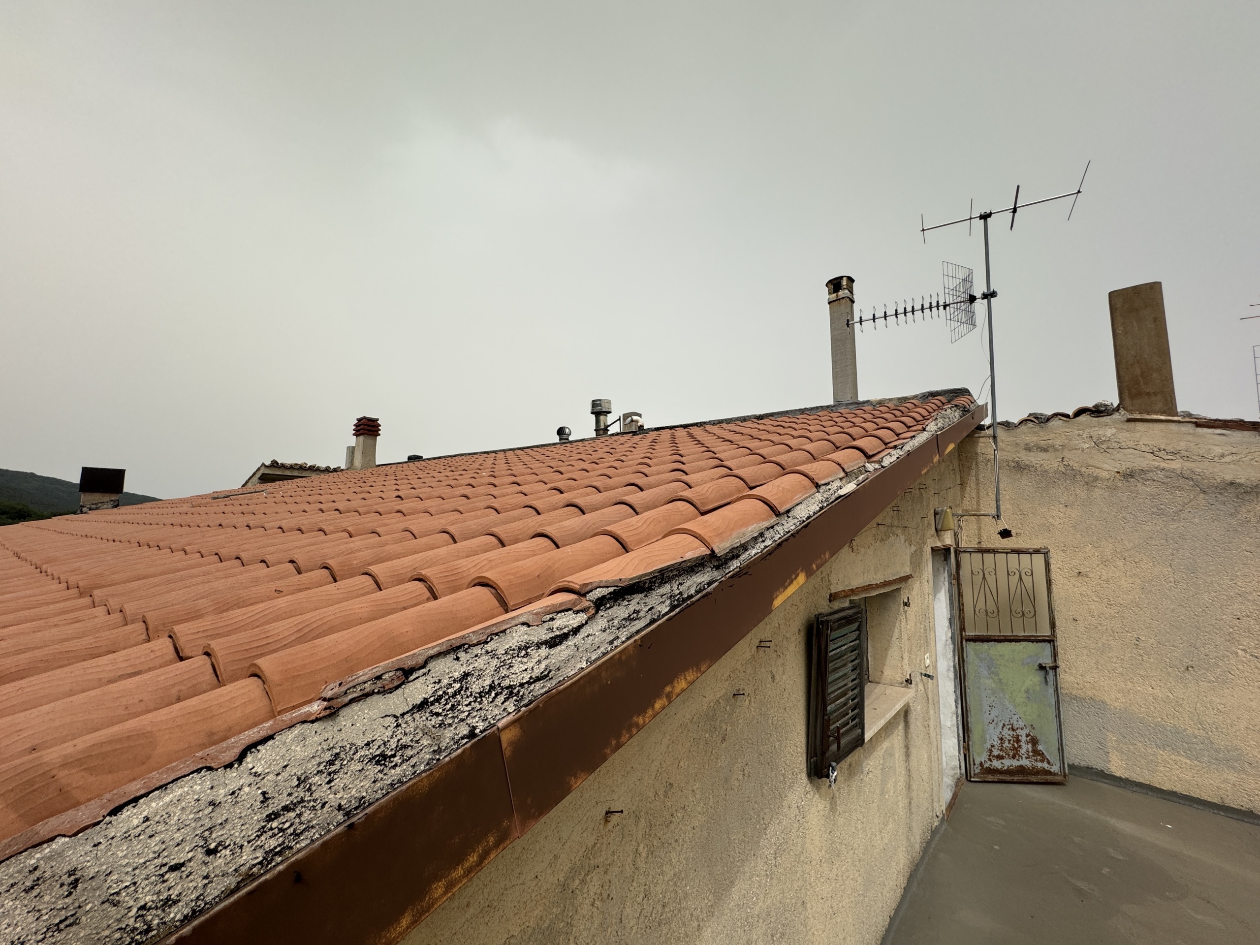 Foto annuncio 55
