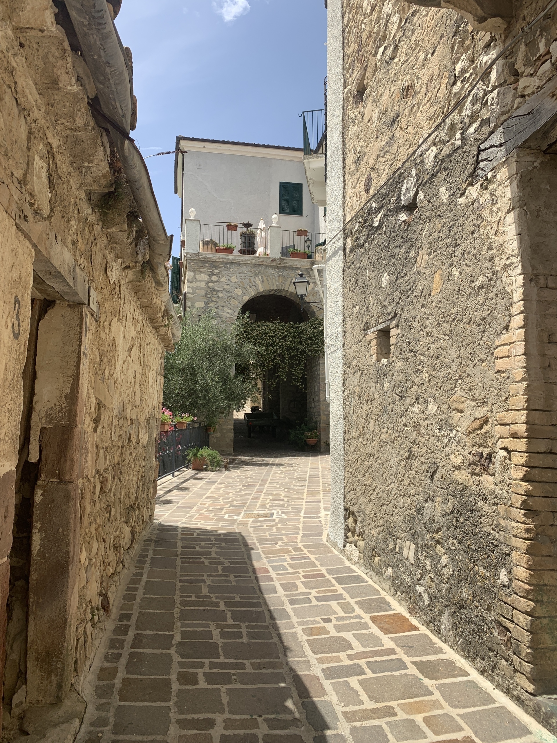 Immagine 30 di Casa indipendente in vendita  a Altino