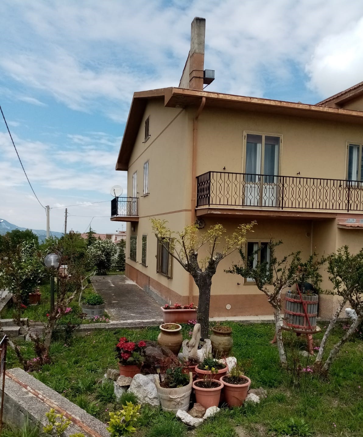 Foto annuncio 1