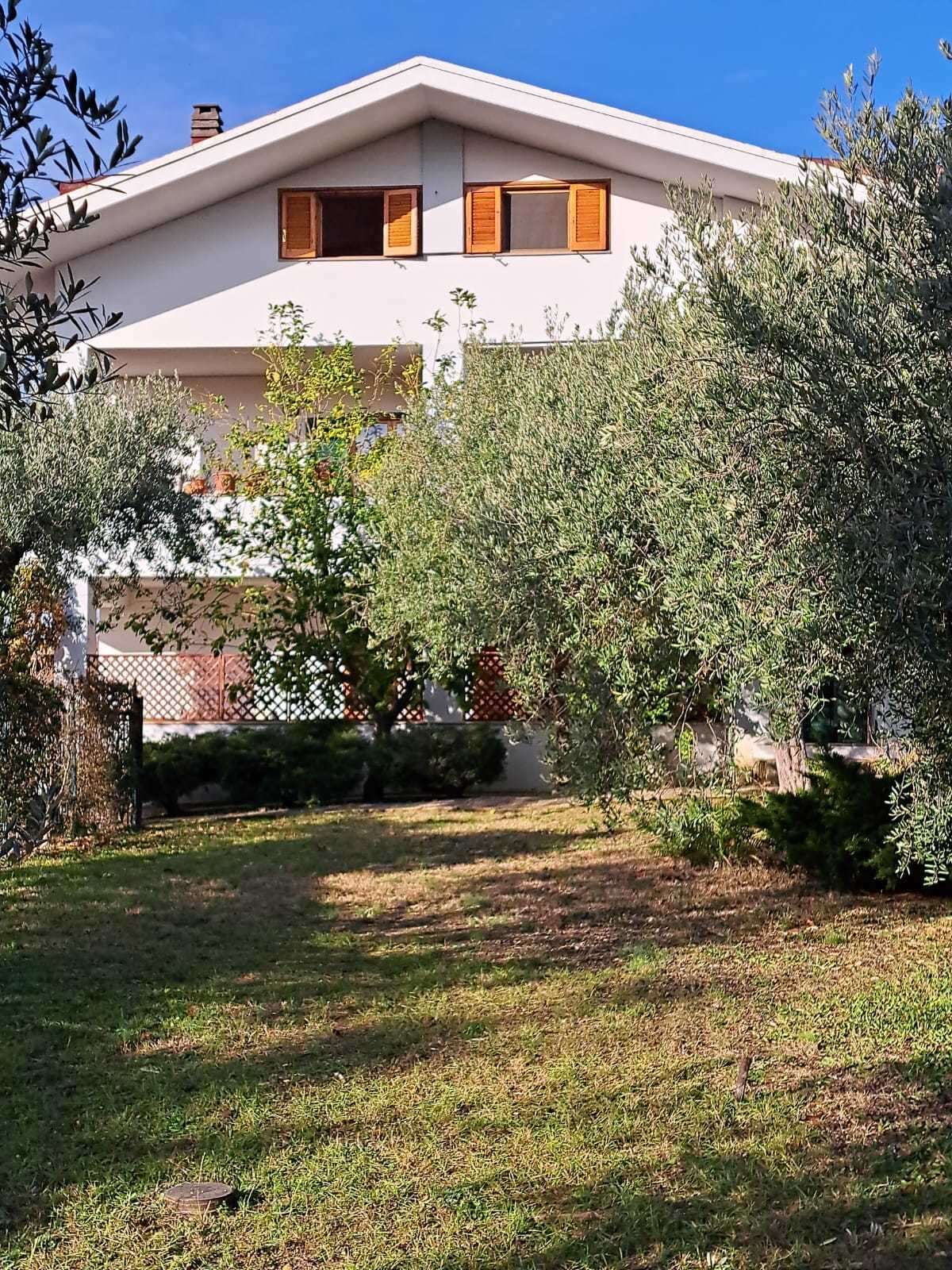 Foto annuncio 47