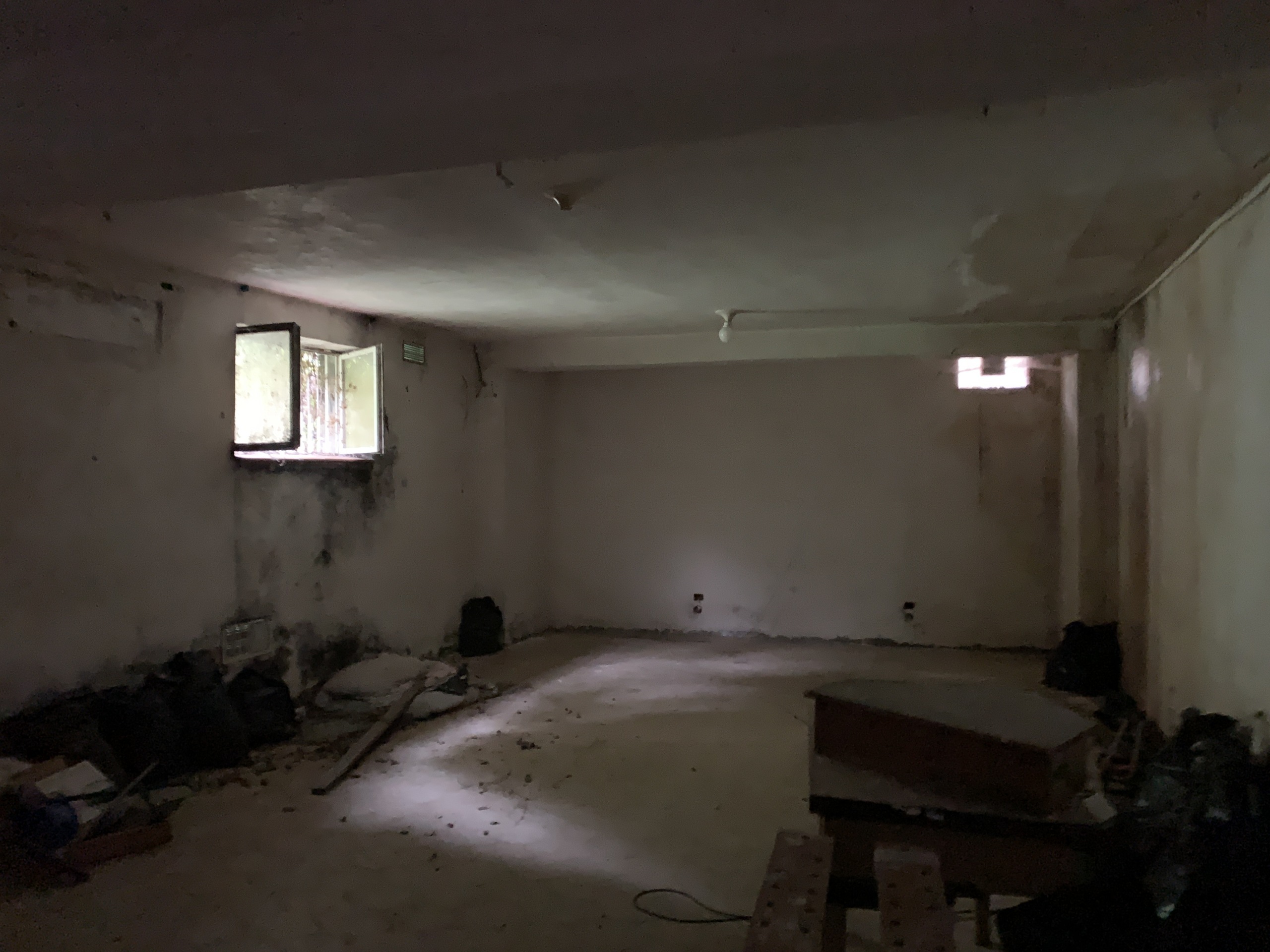 Immagine 49 di Rustico / casale in vendita  a Altino