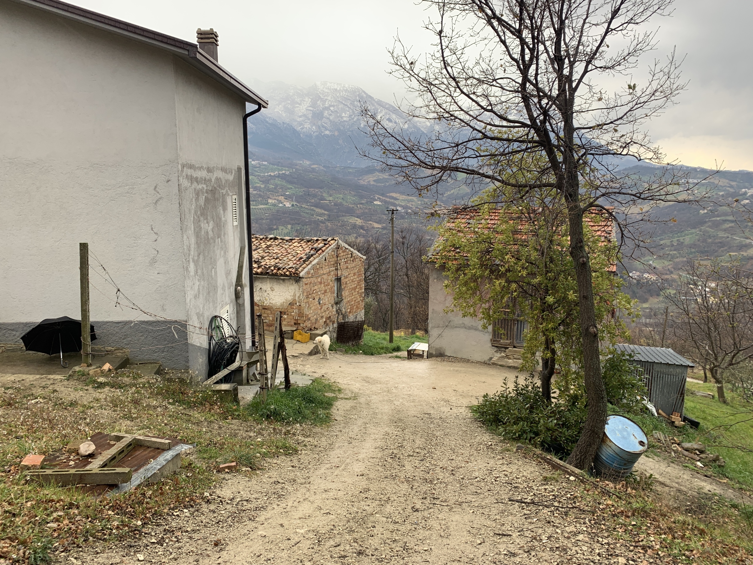 Immagine 59 di Casa semindipendente in vendita  a Gessopalena