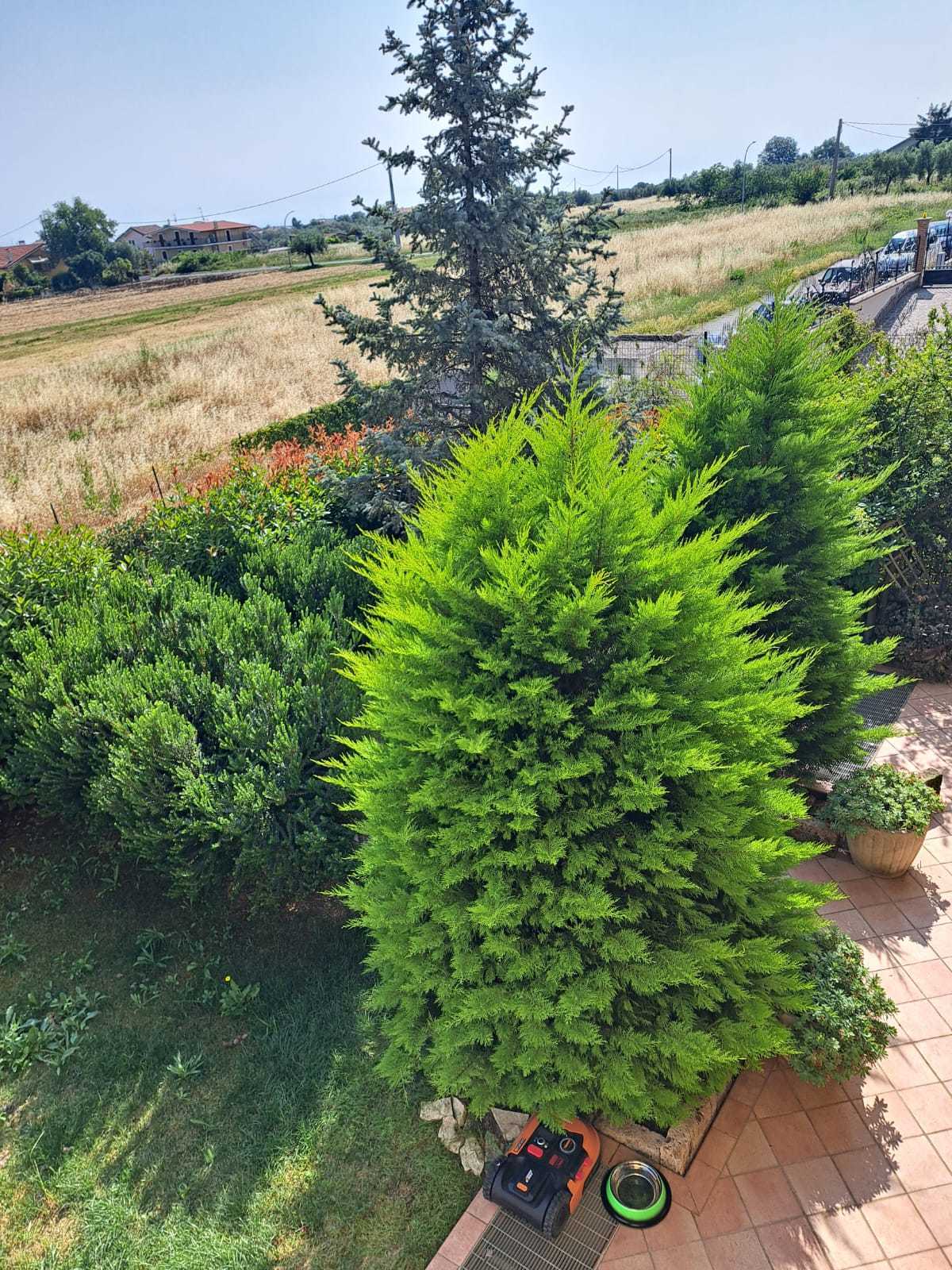Foto annuncio 64