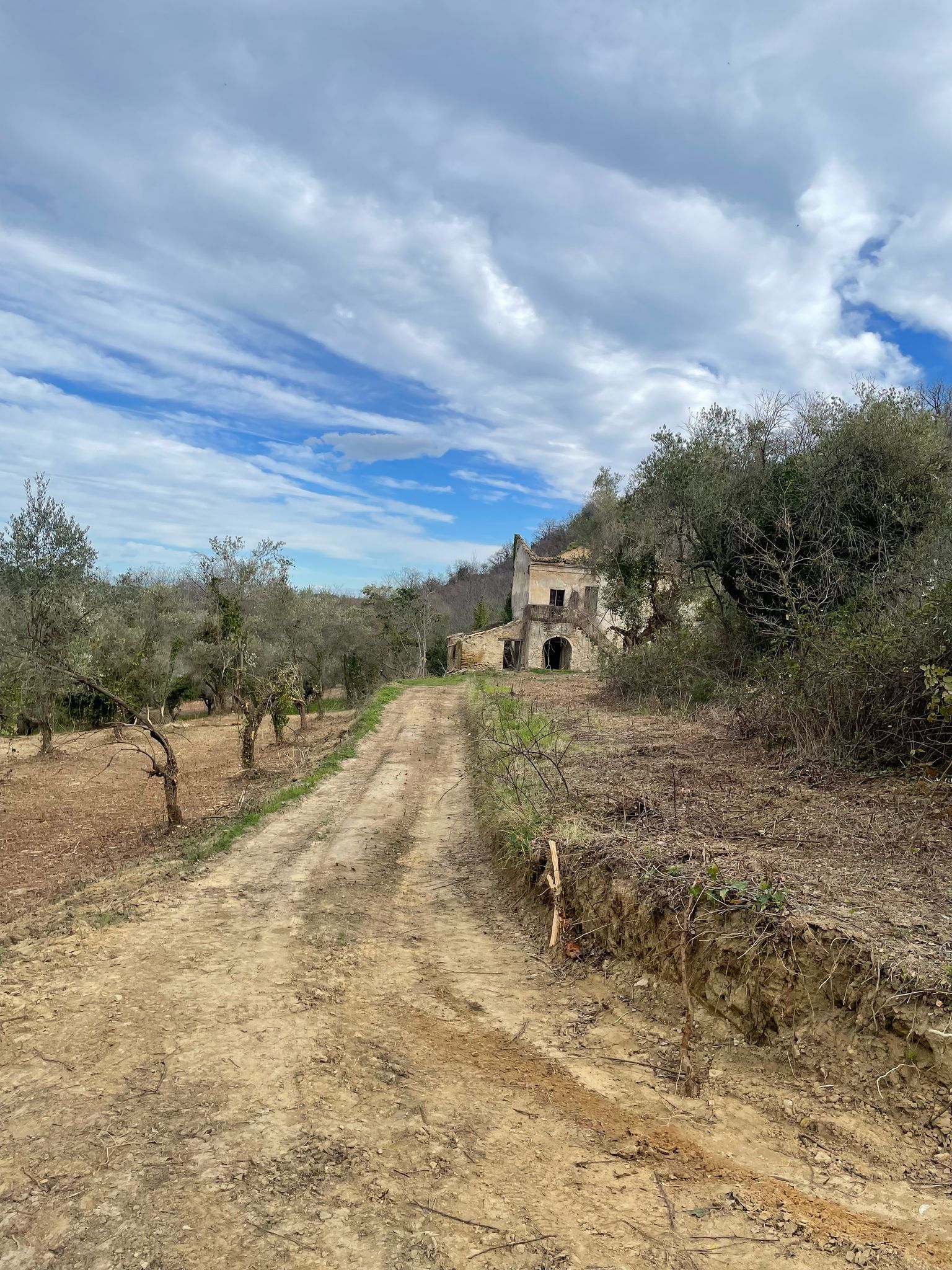 Foto annuncio 41
