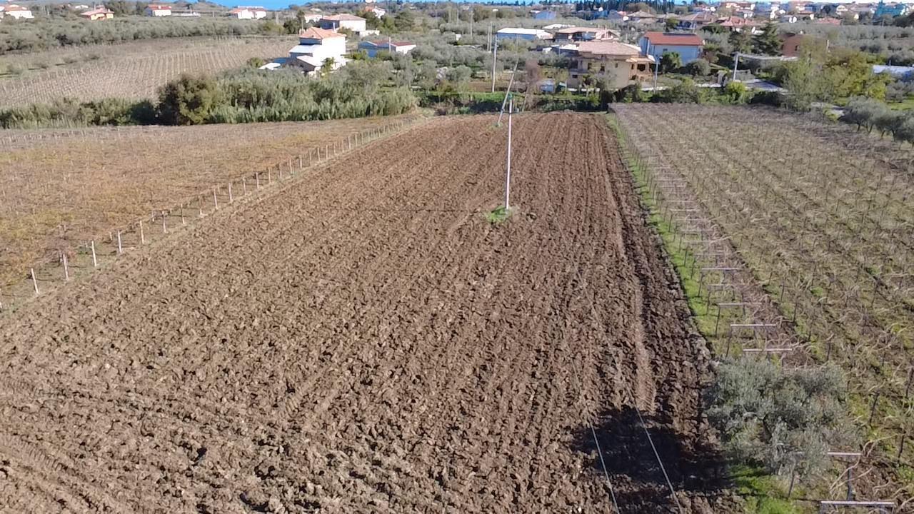 Foto annuncio 2
