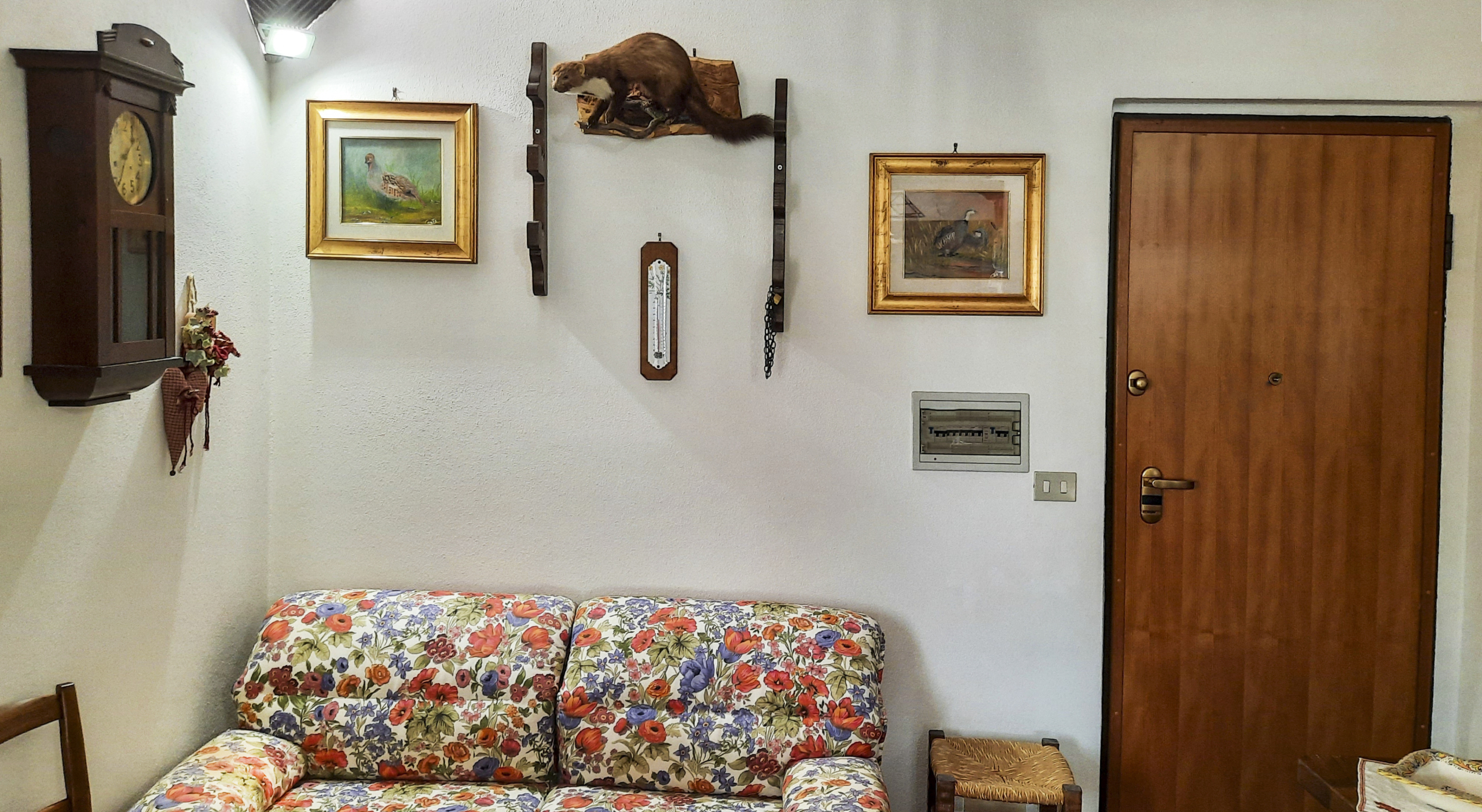 Foto annuncio 6