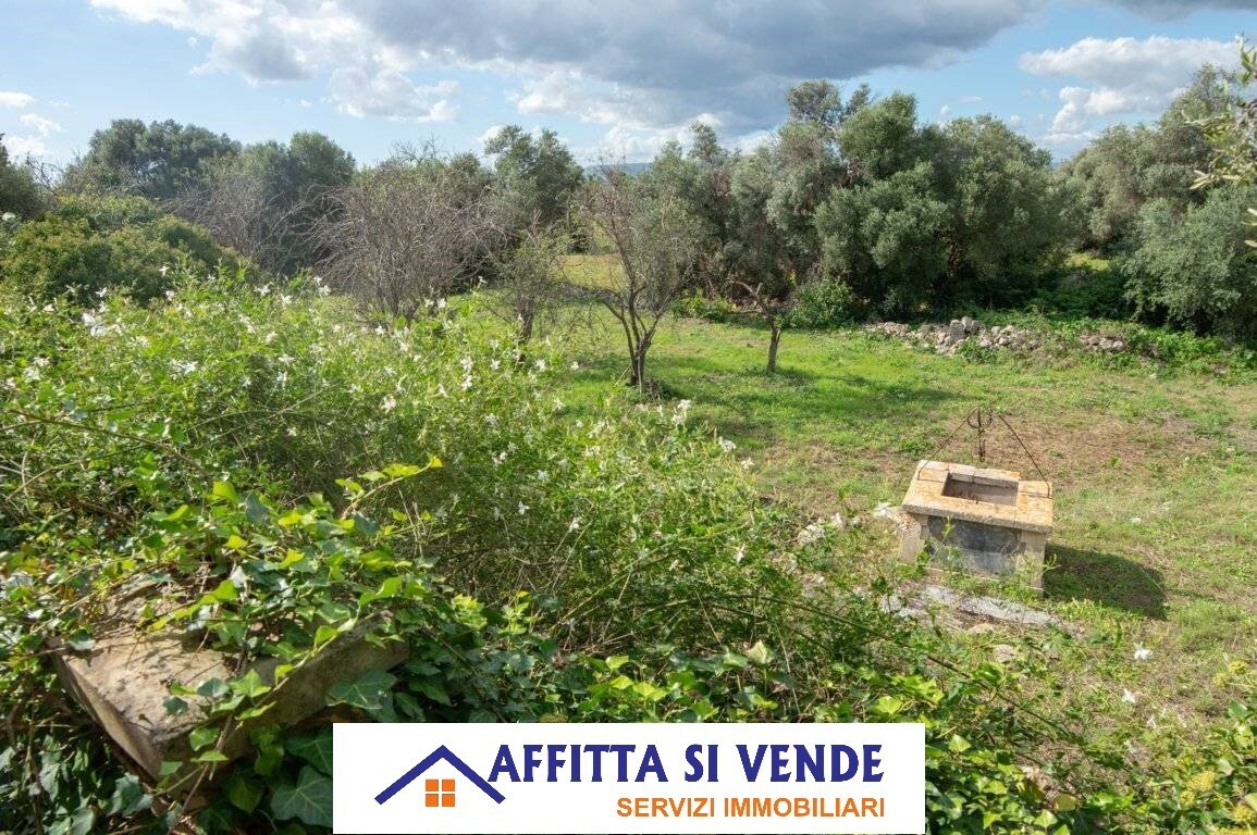 Immagine 22 di Rustico / casale in vendita  in isola a Siracusa