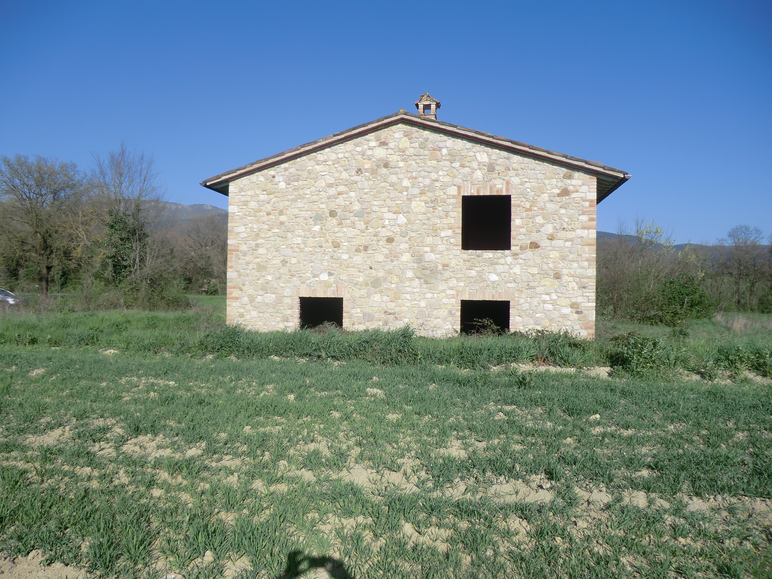 Foto annuncio 4