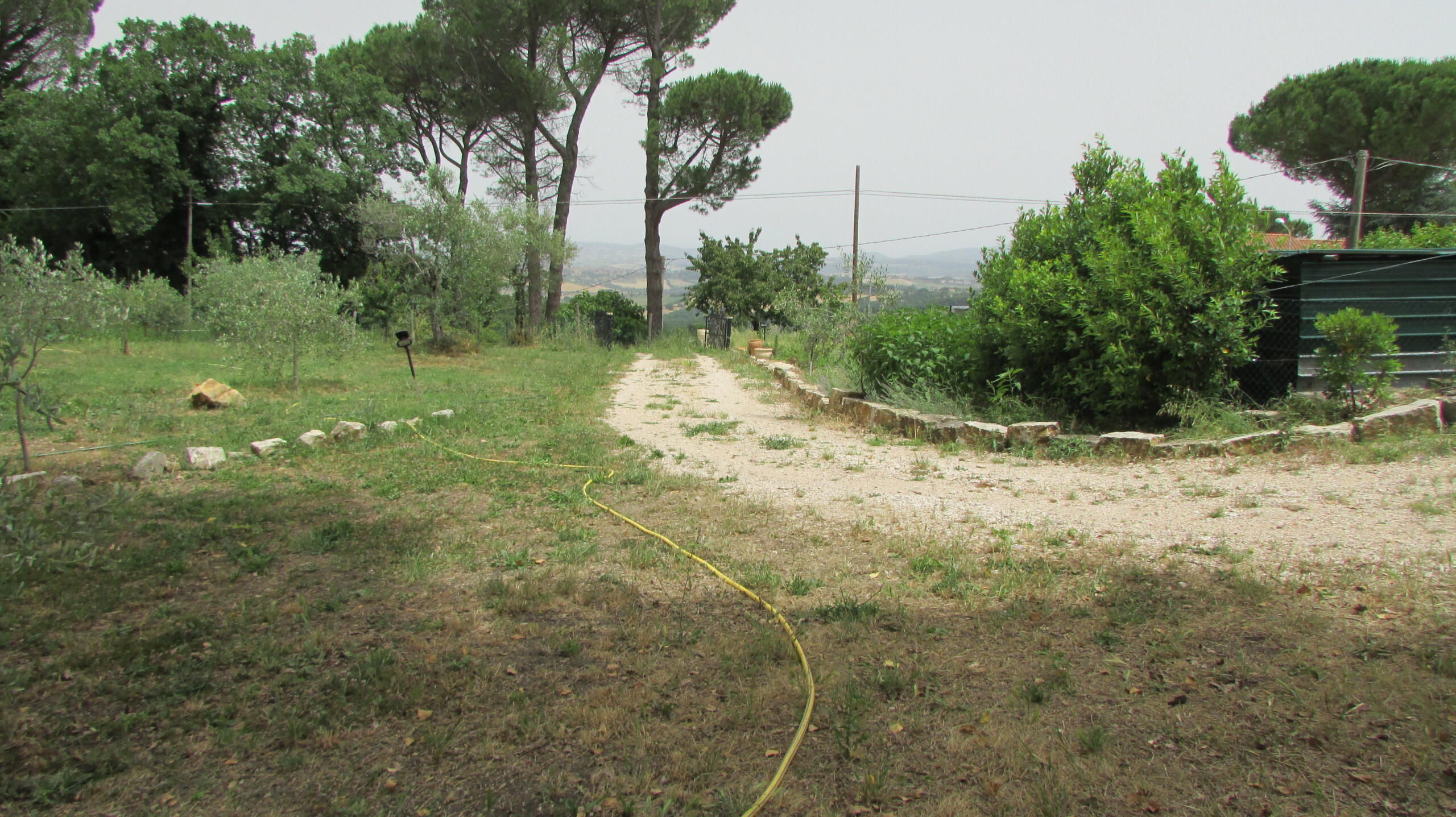 Immagine 9 di Casa indipendente in vendita  a Todi