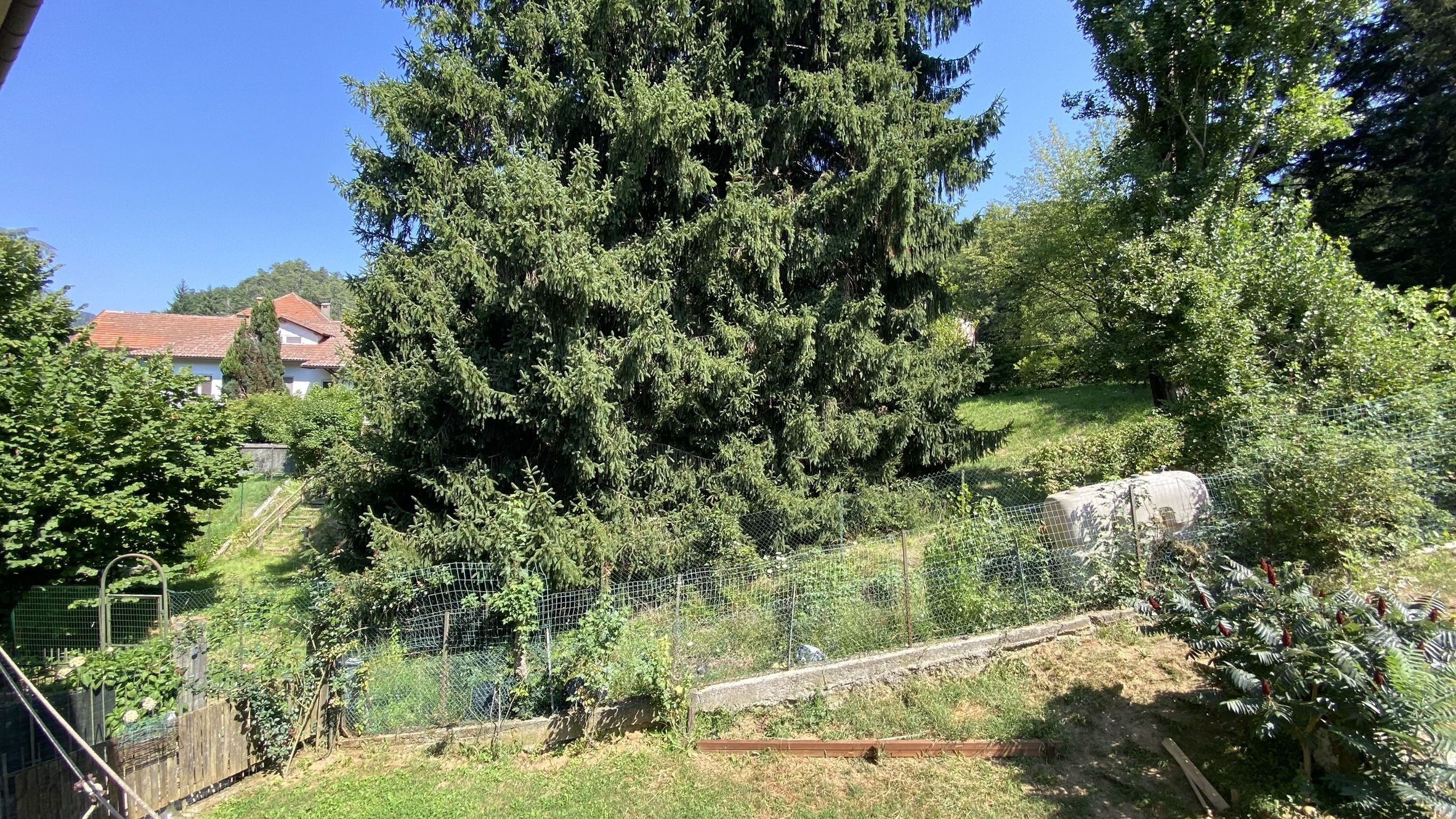 Foto annuncio 3