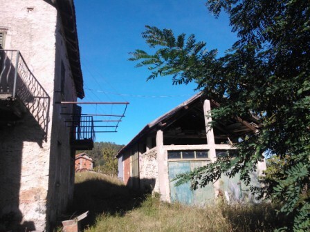 Foto annuncio 4