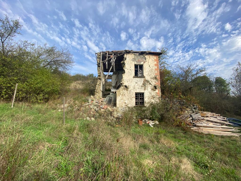 Foto annuncio 1