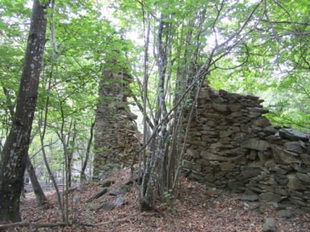 Foto annuncio 3