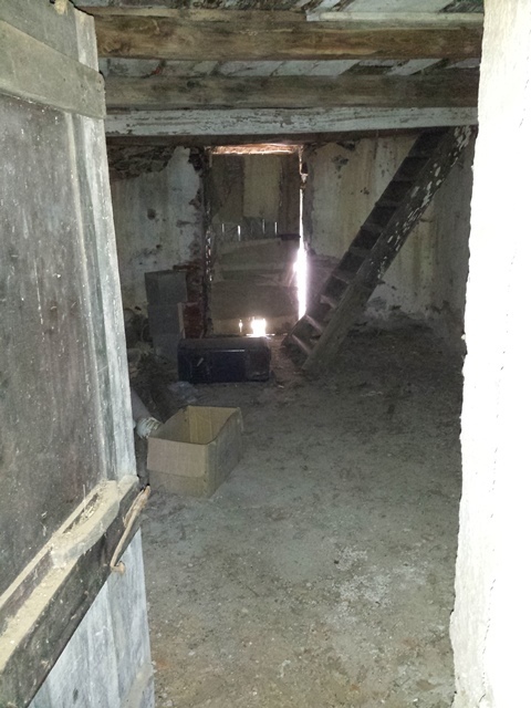 Foto annuncio 7