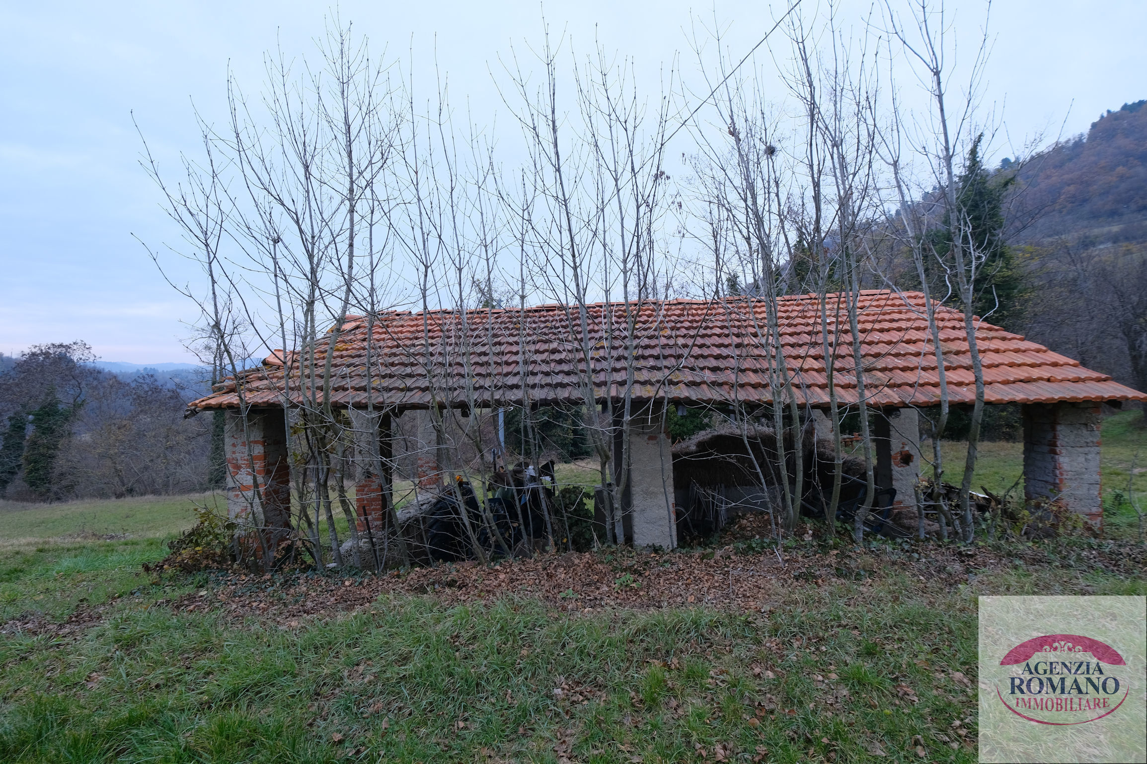 Foto annuncio 29