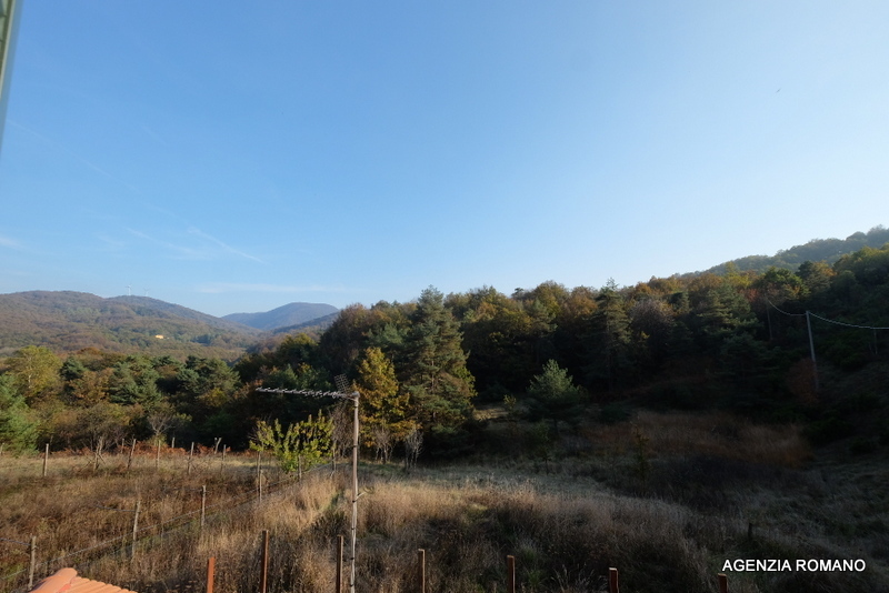 Foto annuncio 15