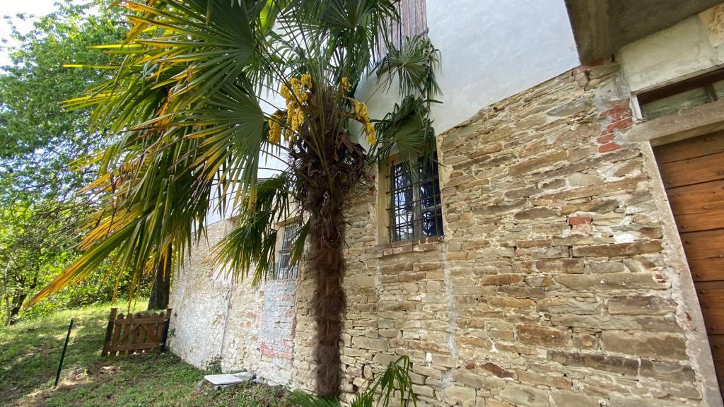 Foto annuncio 30