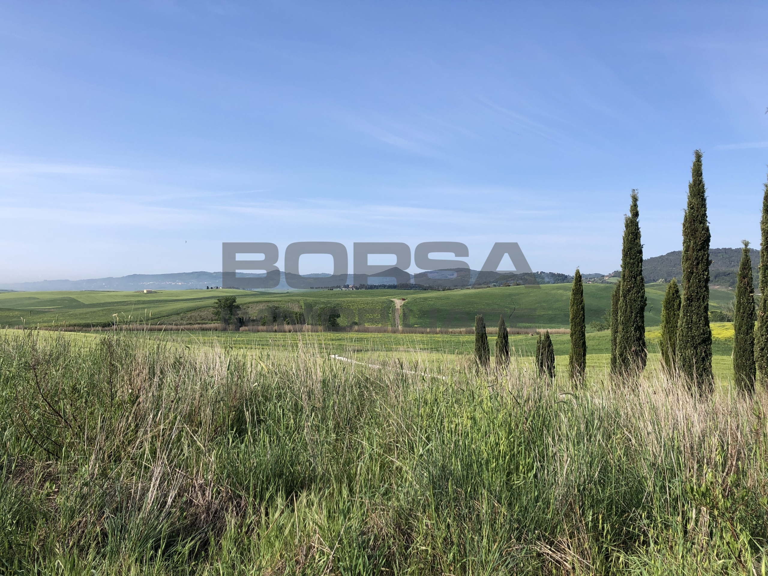 Immagine 3 di Terratetto in vendita  in Via Stazione 8 a Orciano Pisano