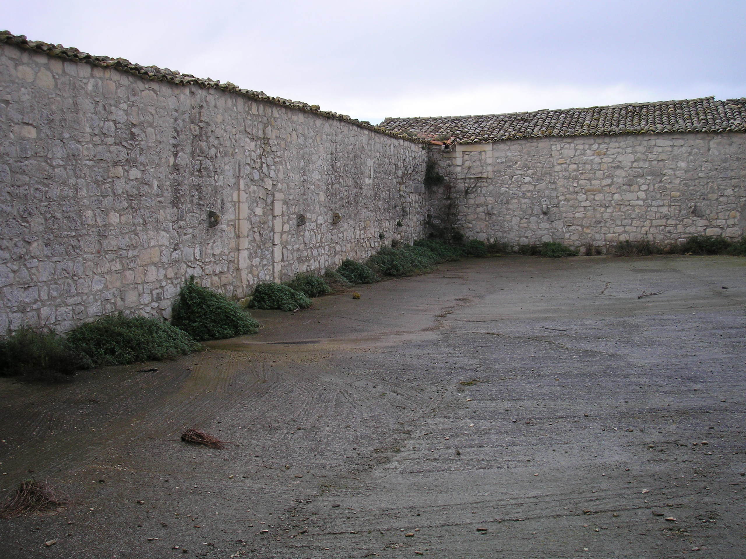 Foto annuncio 6