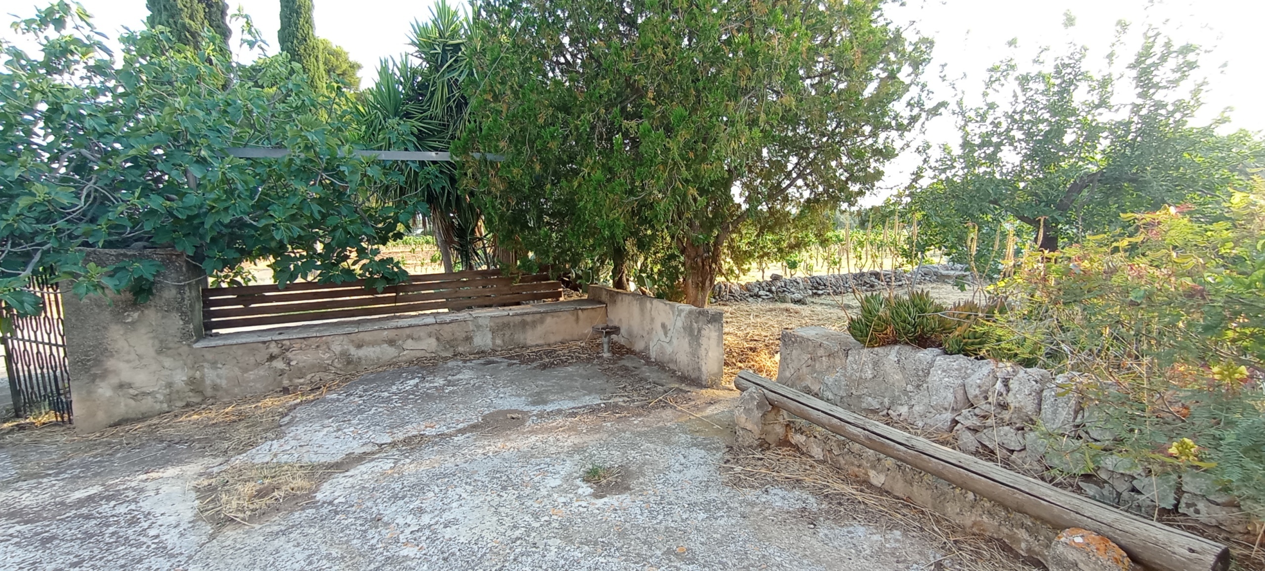 Foto annuncio 36
