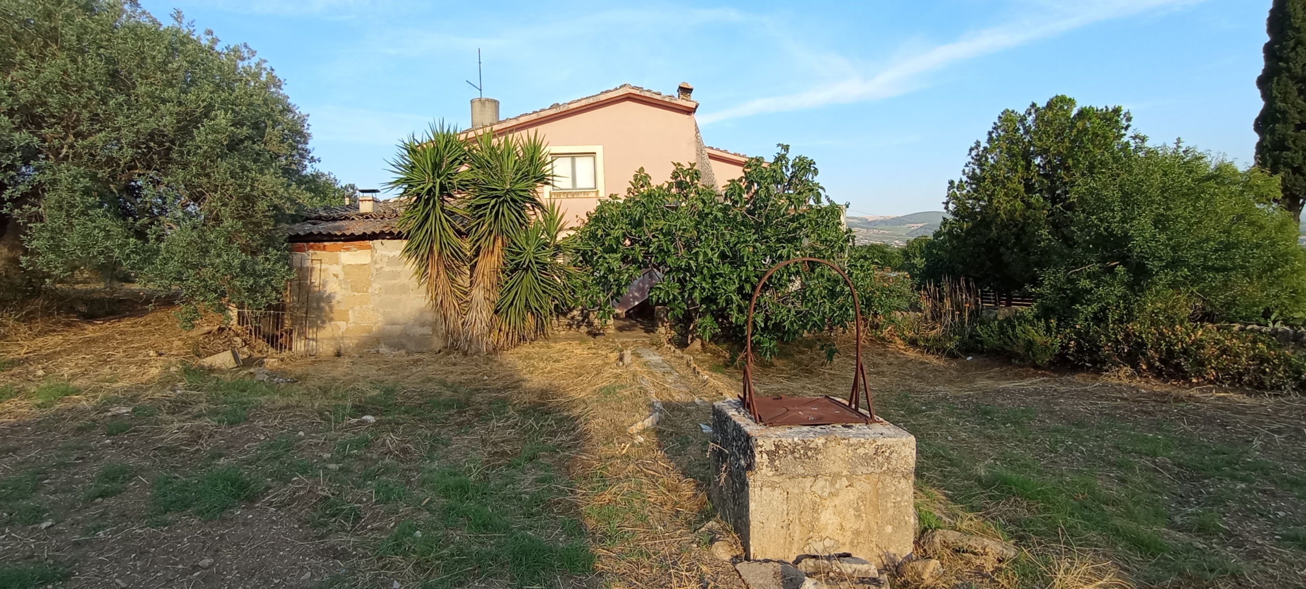 Foto annuncio 35