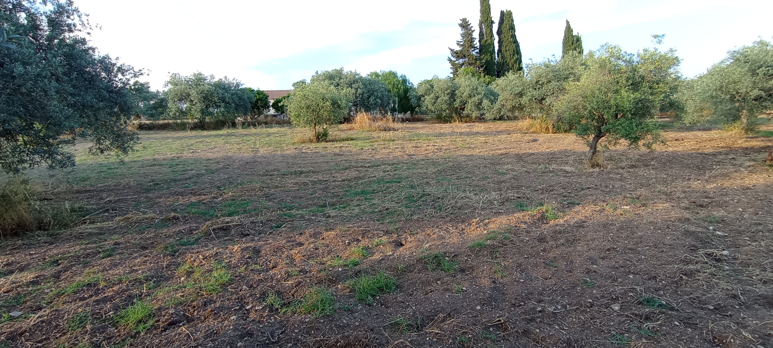 Foto annuncio 41
