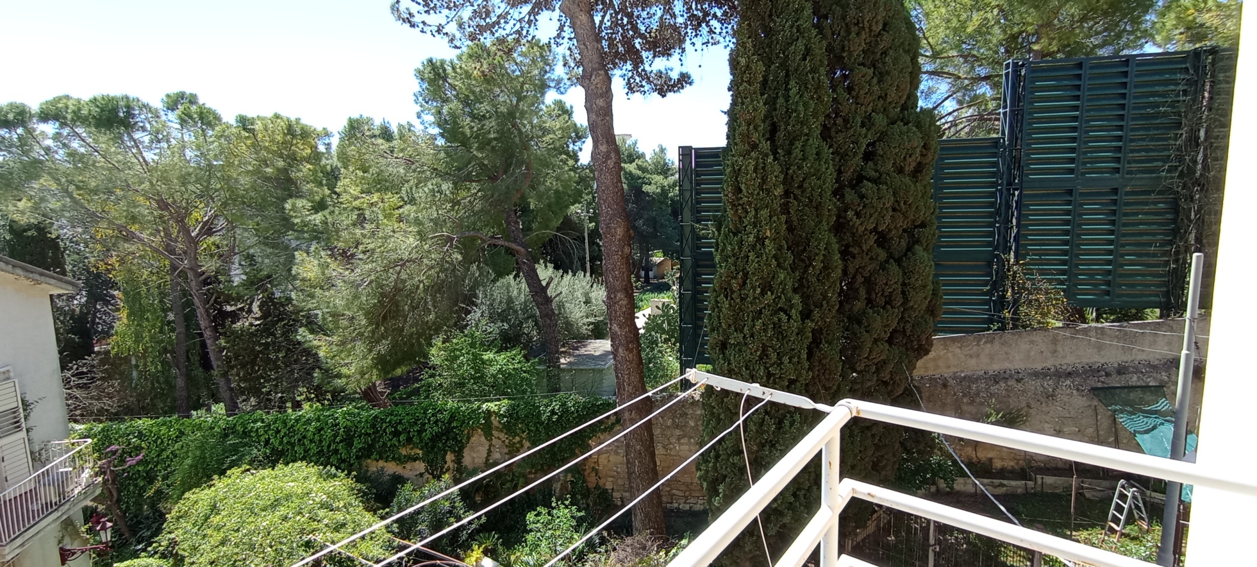 Foto annuncio 15