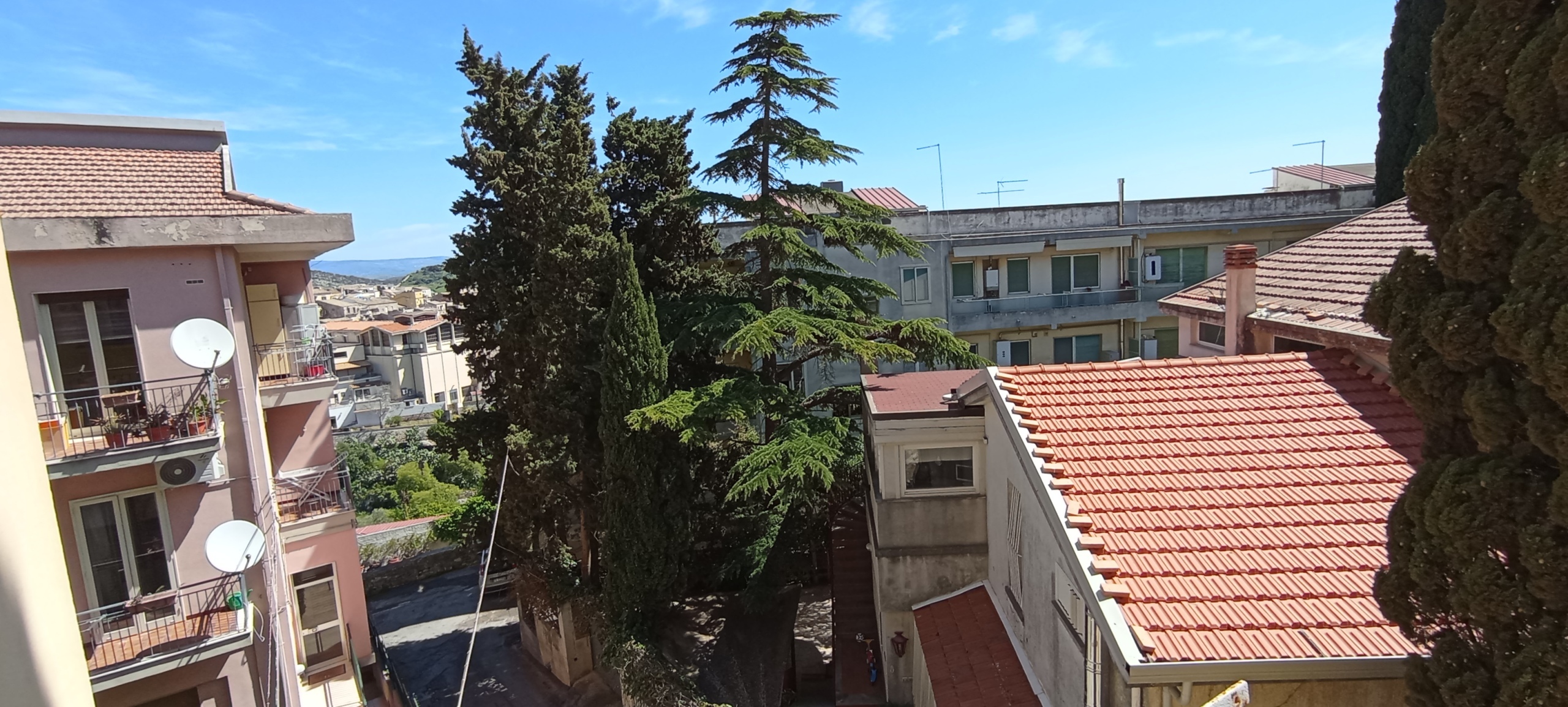 Foto annuncio 21