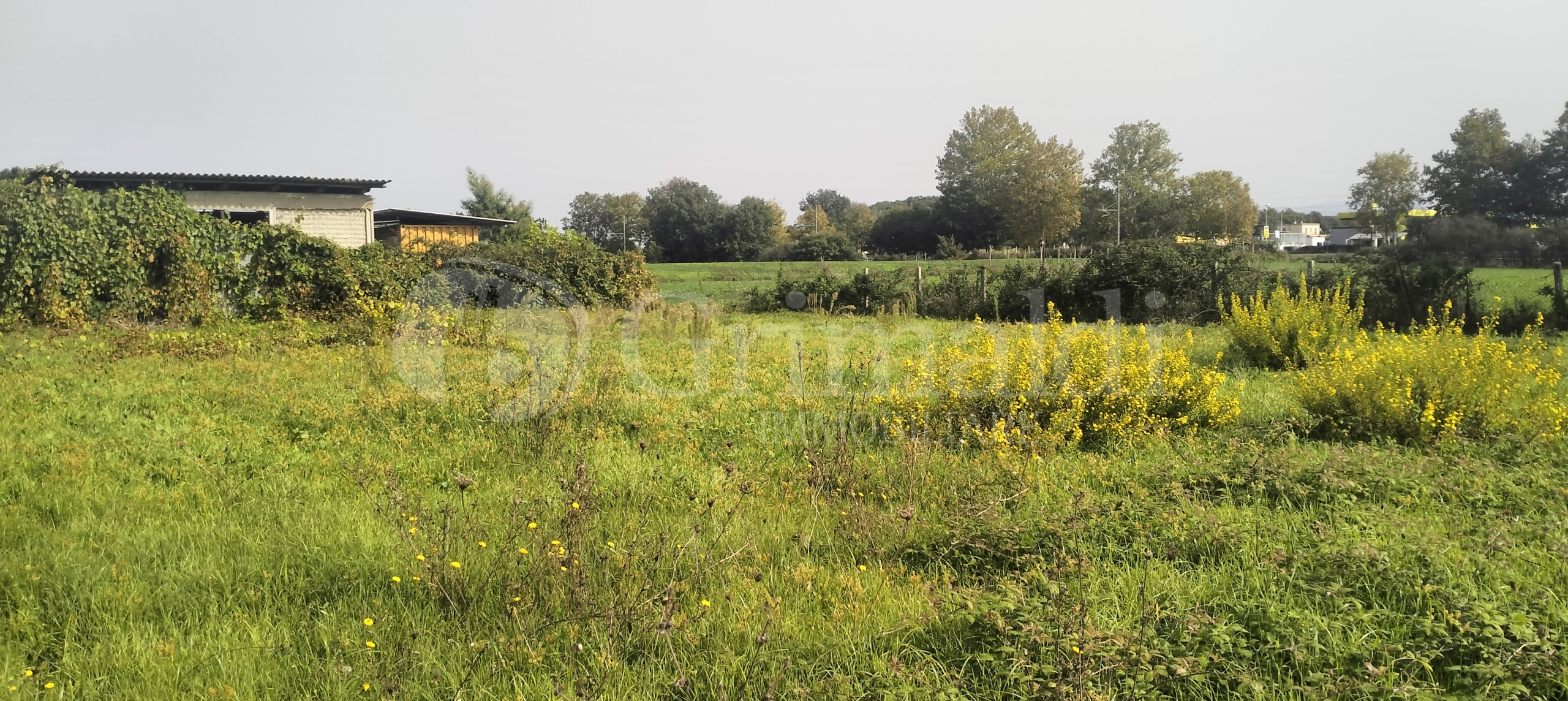 Immagine 6 di Terreno agricolo in vendita  in Via Lago di Sirino a Nettuno