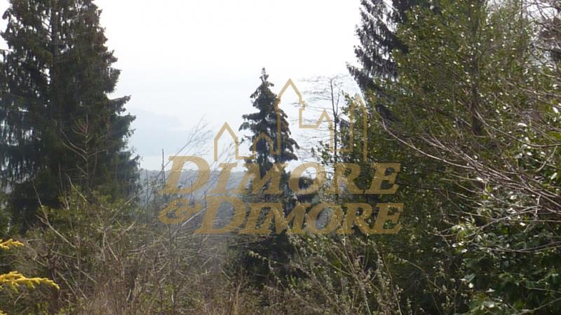 Immagine 2 di Appartamento in vendita  in Via Pian di Sole 15 a Premeno