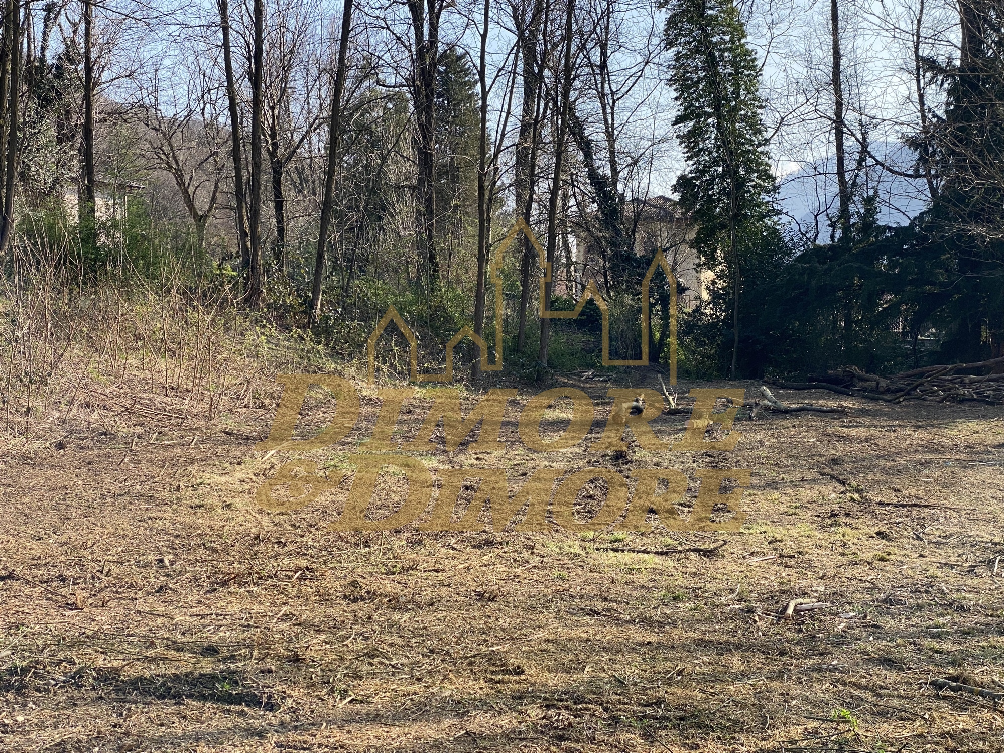 Immagine 9 di Terreno edificabile in vendita  in Via G. Andreani 2 a Valganna