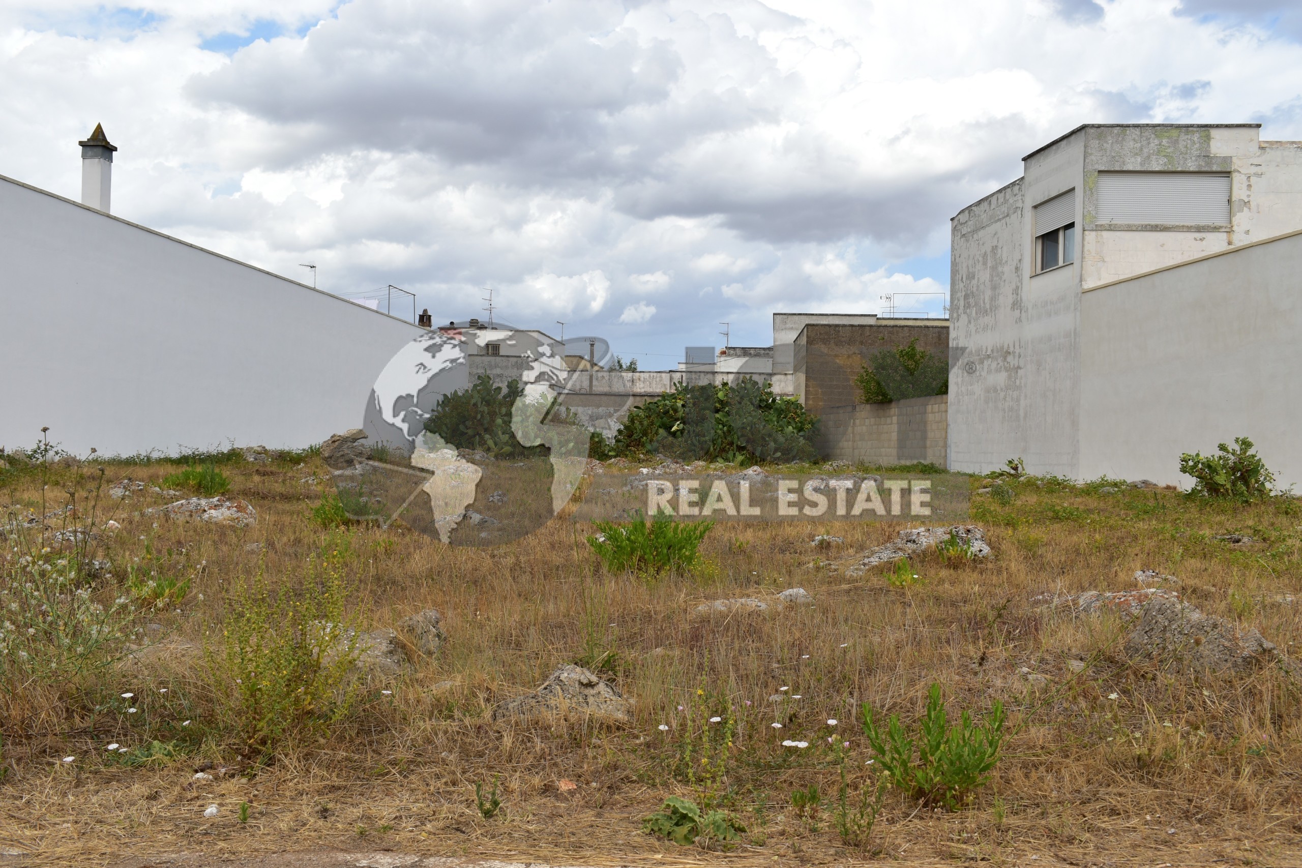Immagine 10 di Terreno agricolo in vendita  in via morandi a San Donato Di Lecce