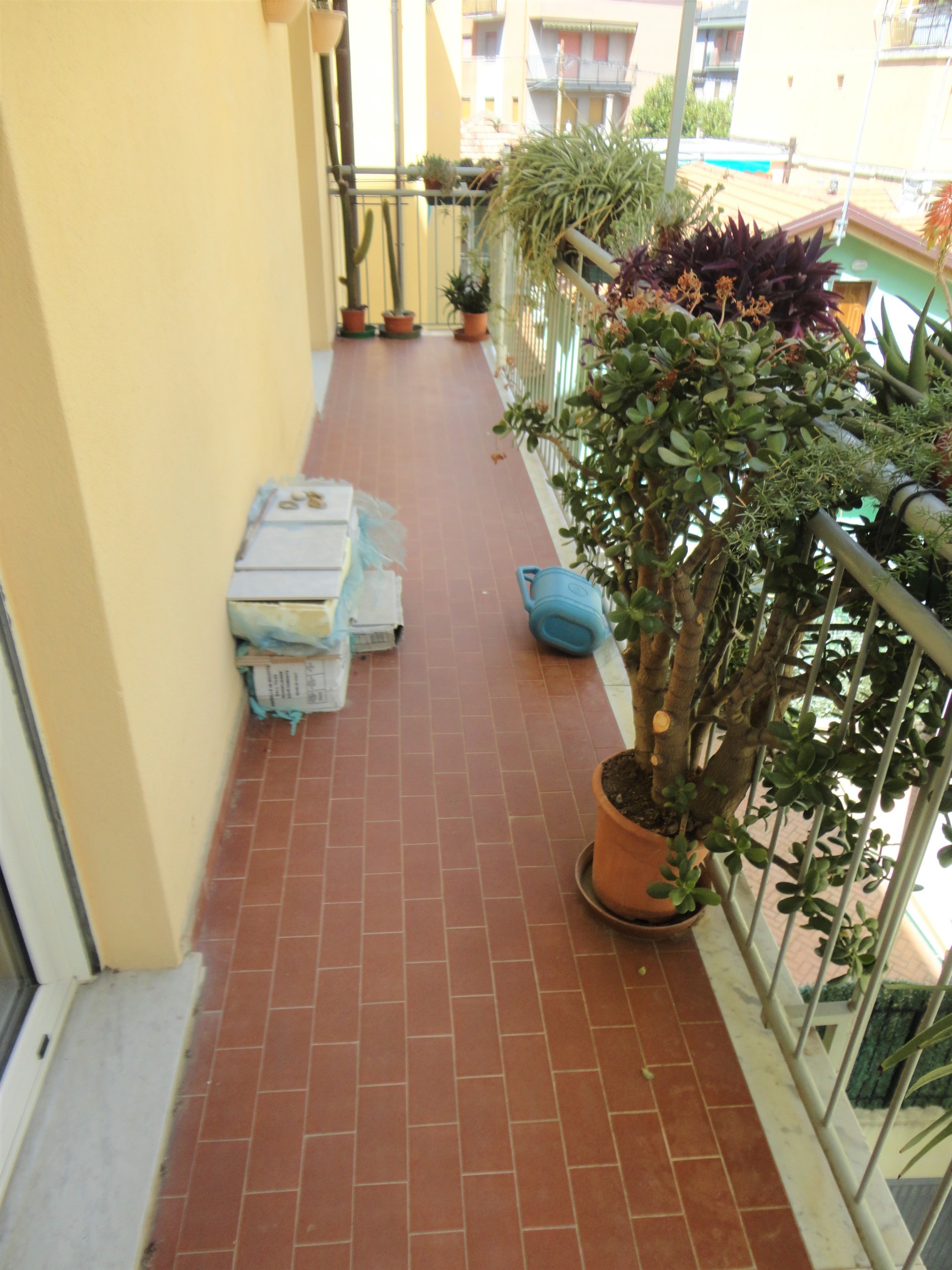 Immagine 10 di Trilocale in vendita  a Alassio