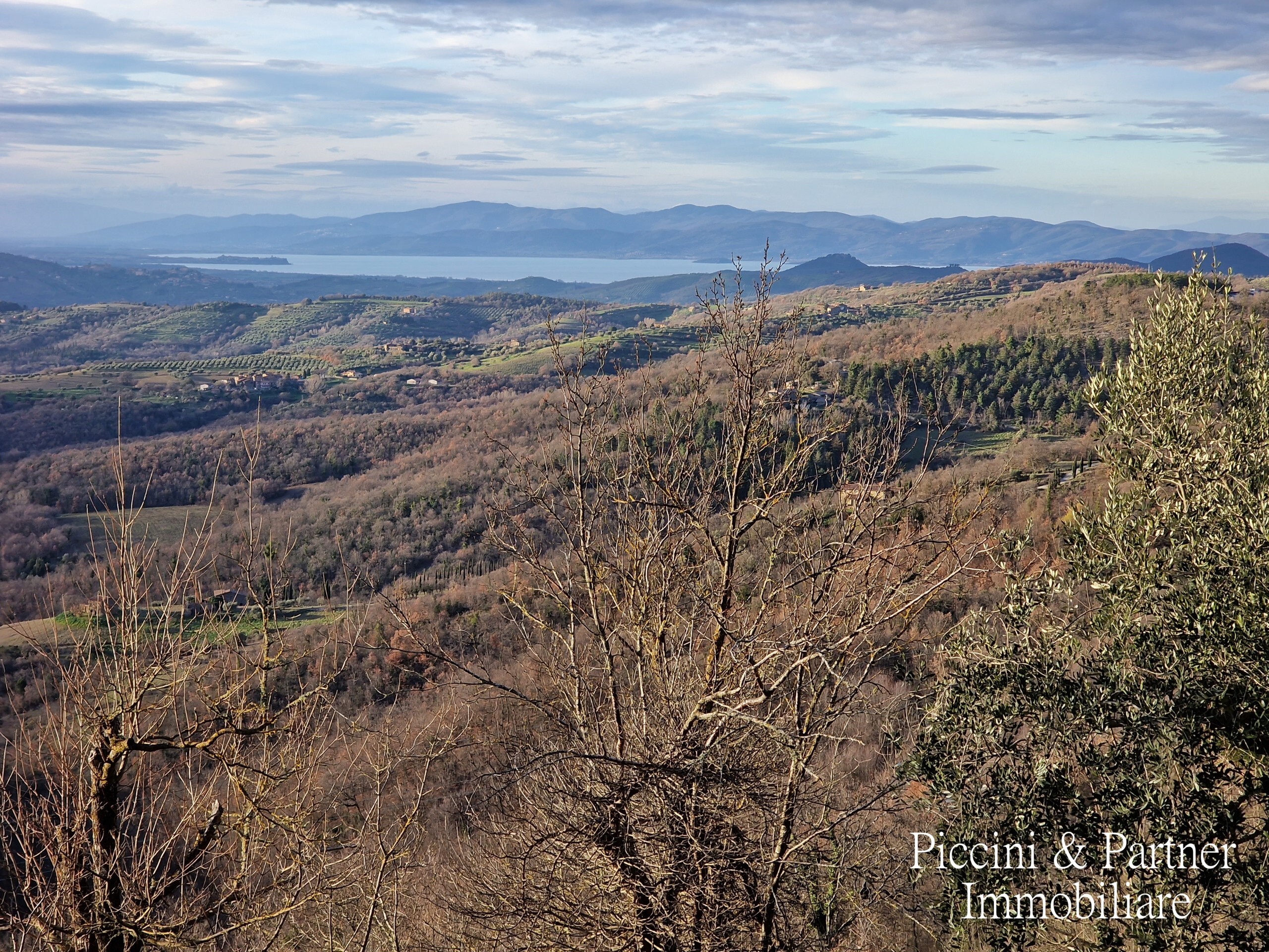 Immagine 50 di Porzione di casa in vendita  in Castello di Greppolischieto a Piegaro