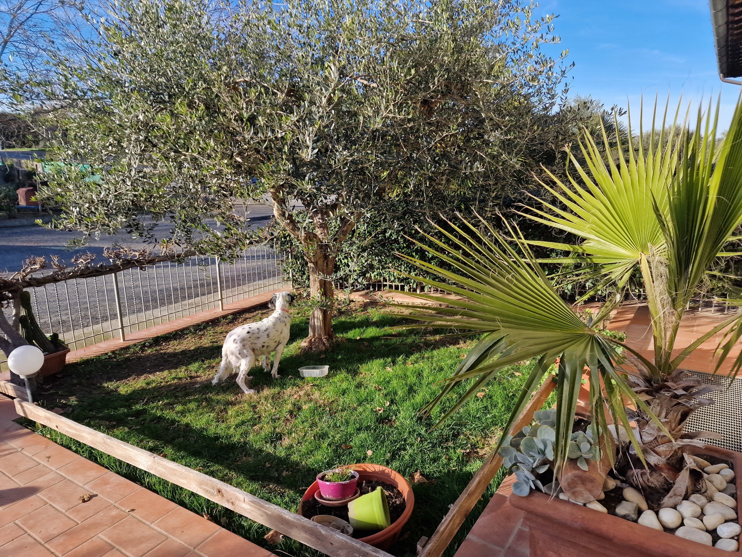 Immagine 51 di Casa bifamiliare in vendita  in Via Milano a Castiglione Del Lago